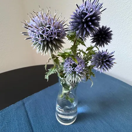 Wasser - Bude Appartement *